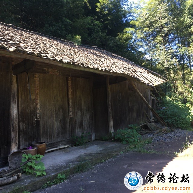 触屏版