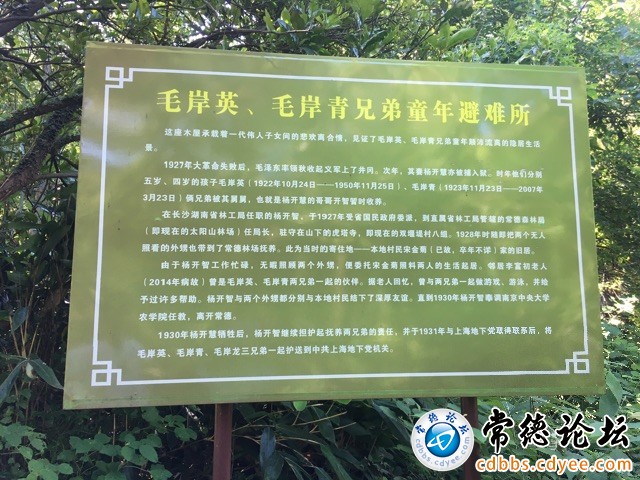 触屏版