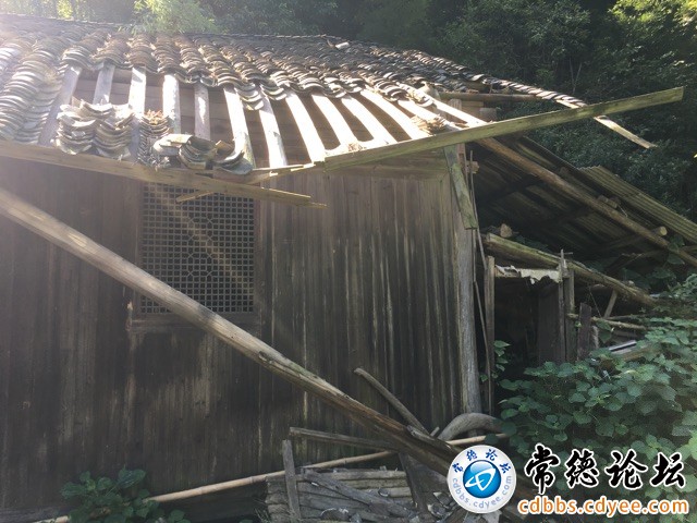 触屏版