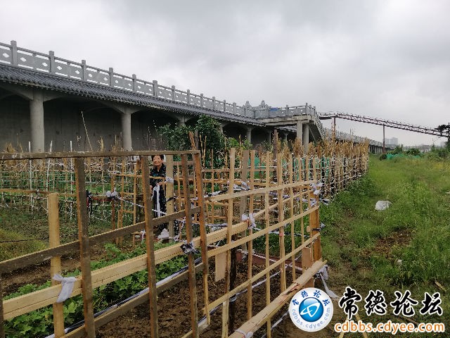 触屏版