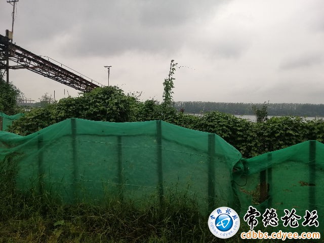触屏版