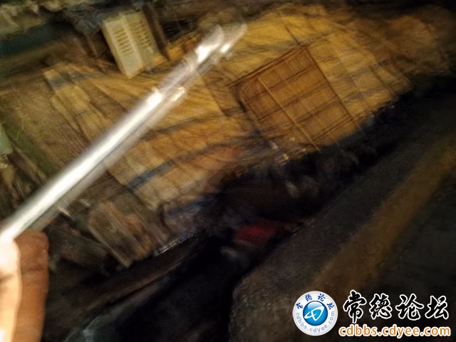 触屏版
