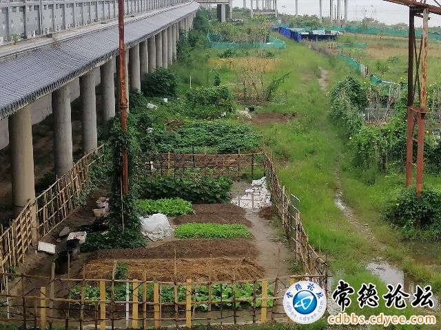 触屏版