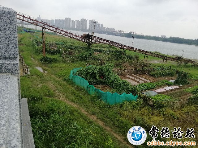 触屏版