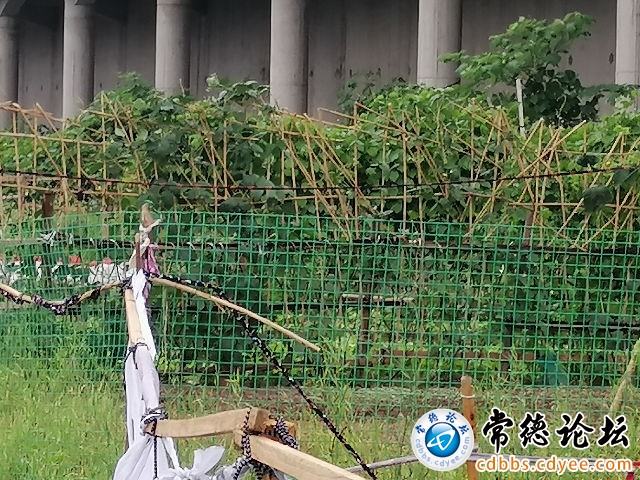 触屏版