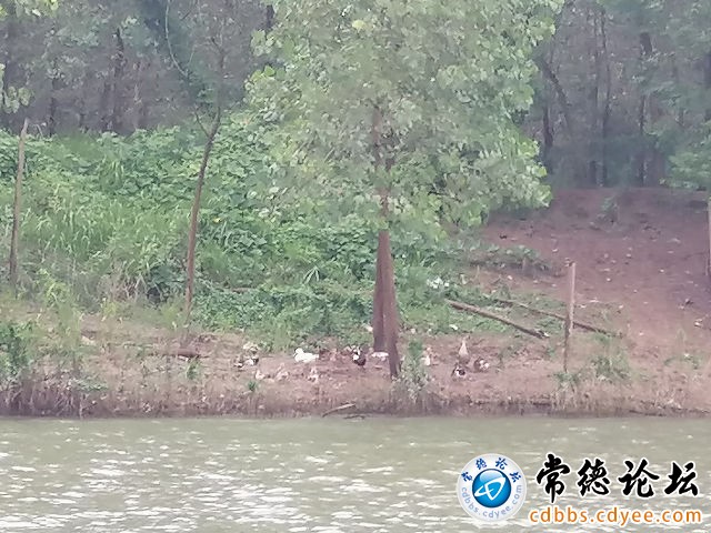 触屏版