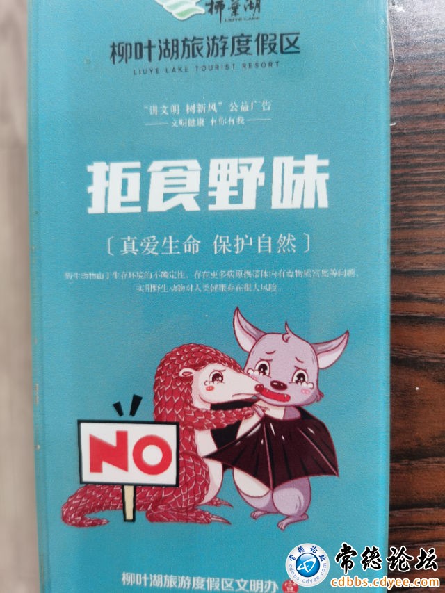 触屏版
