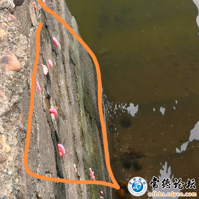 触屏版