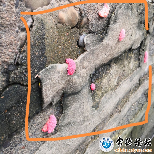 触屏版