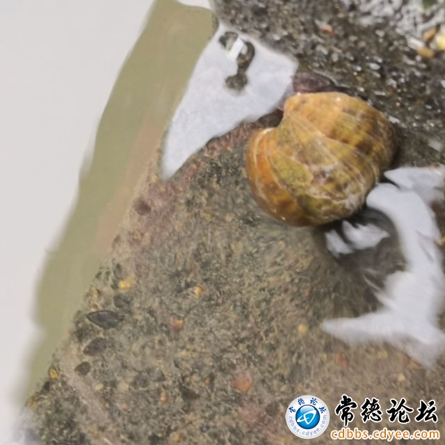 触屏版