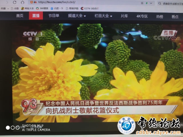 触屏版