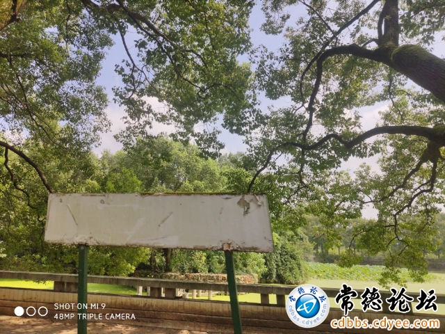 触屏版
