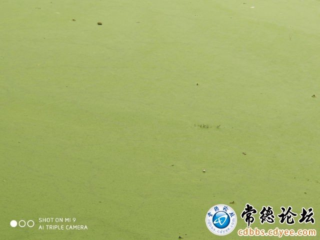 触屏版