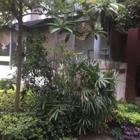 触屏版