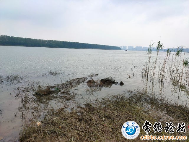 触屏版