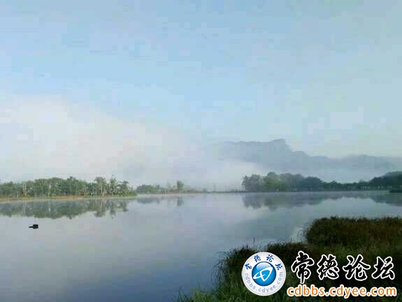 触屏版