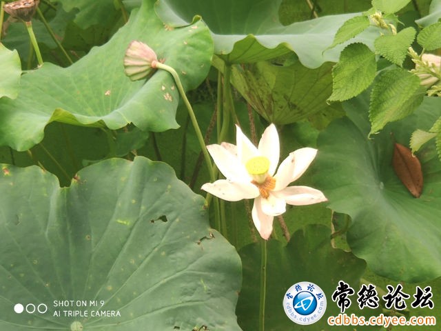 触屏版