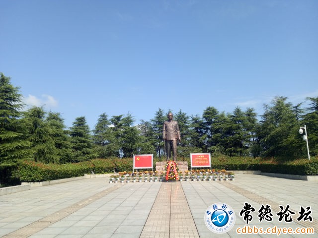 触屏版