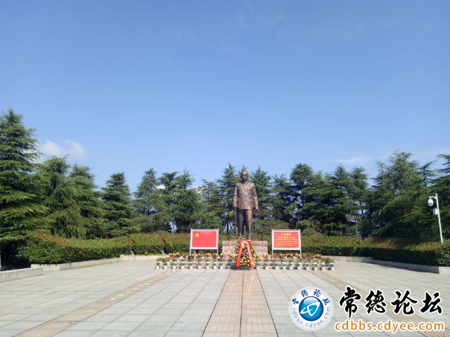 触屏版