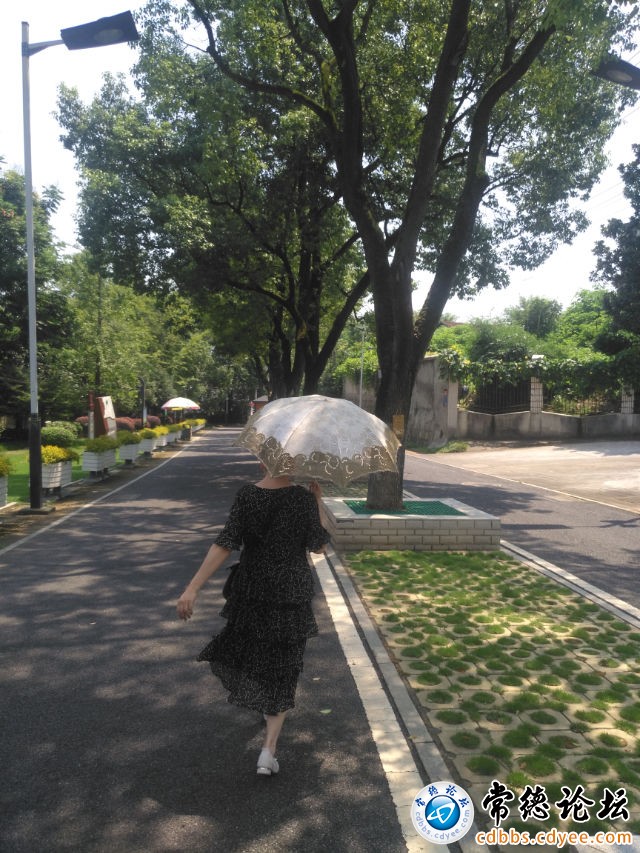 触屏版