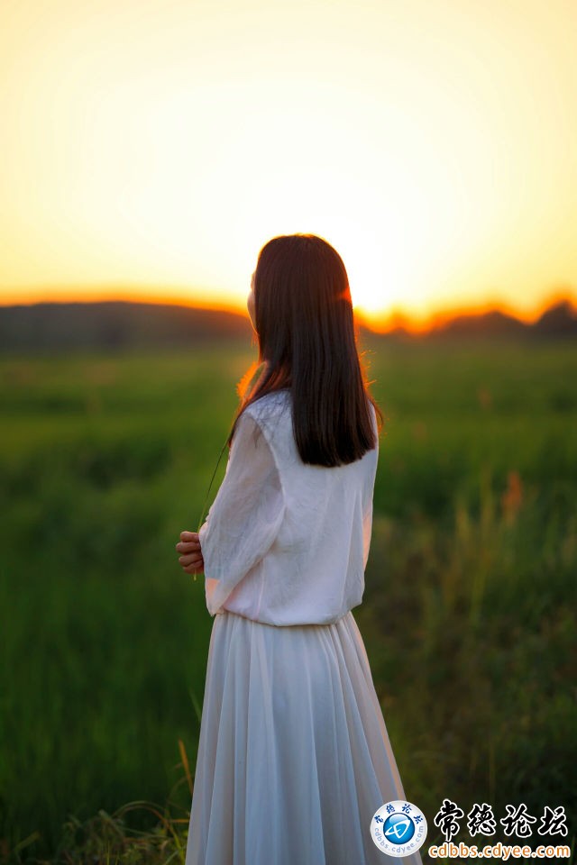 触屏版