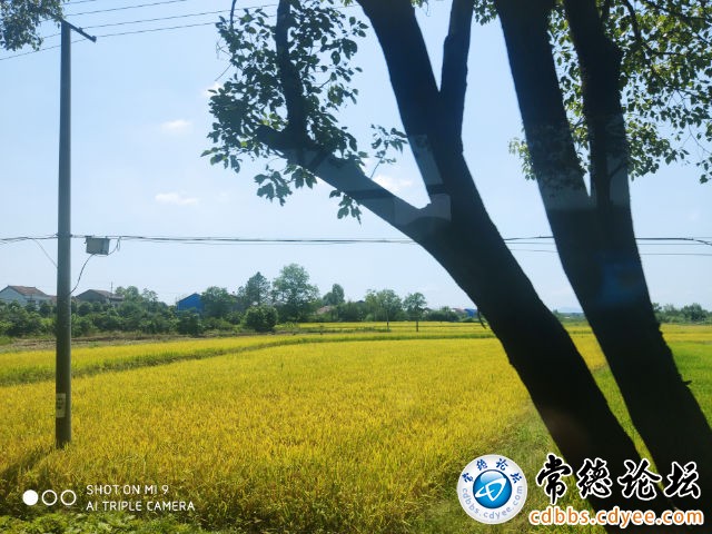 触屏版