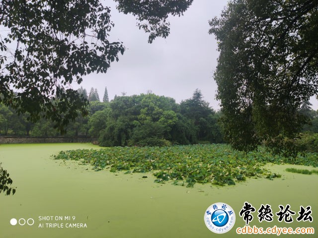 触屏版