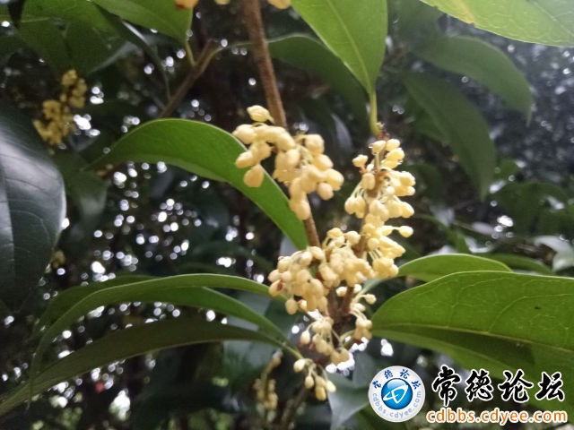触屏版