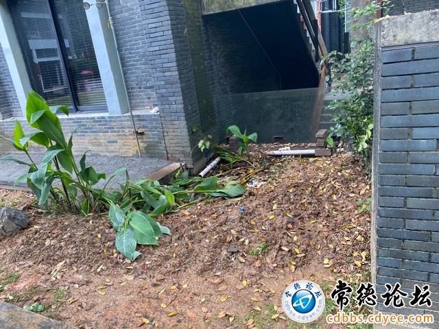 触屏版