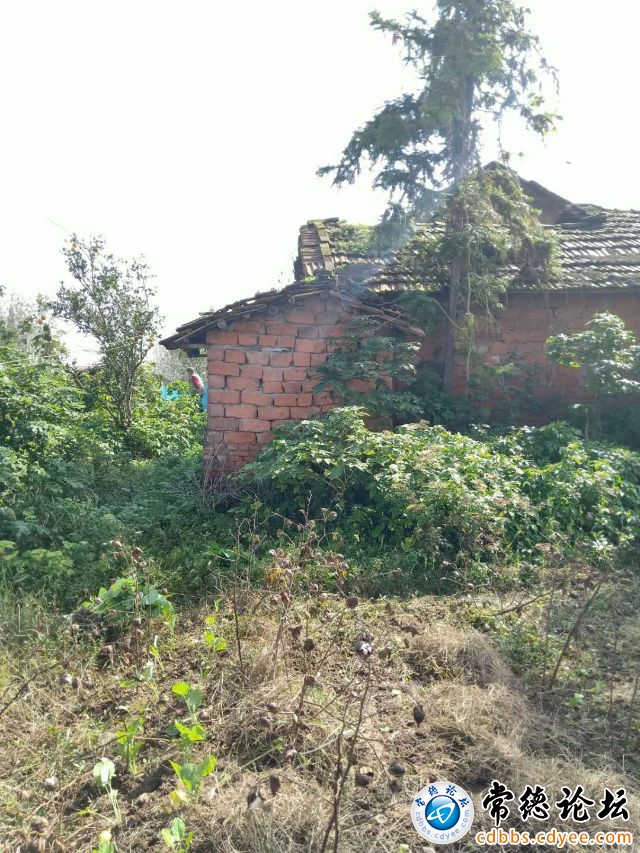 触屏版