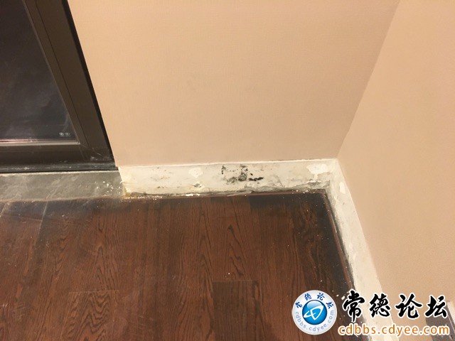 触屏版