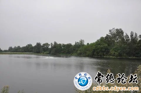 触屏版