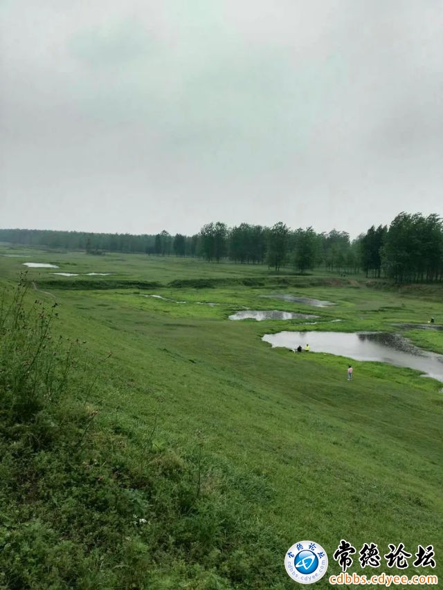 触屏版