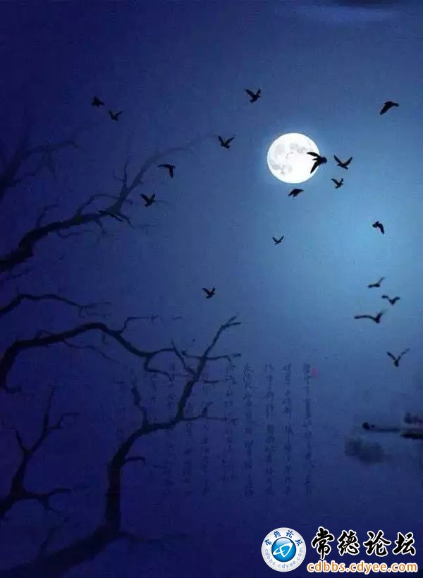 触屏版