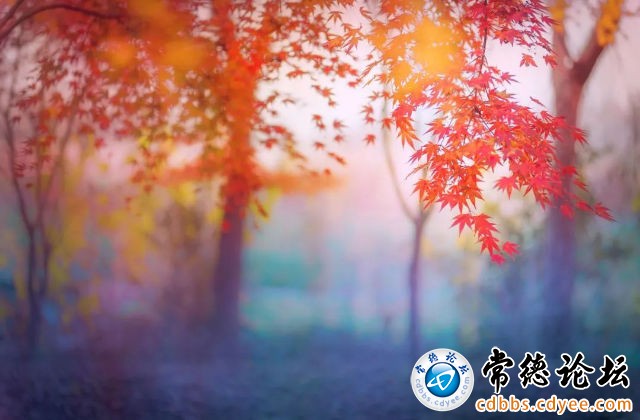 触屏版