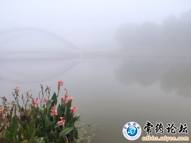 触屏版