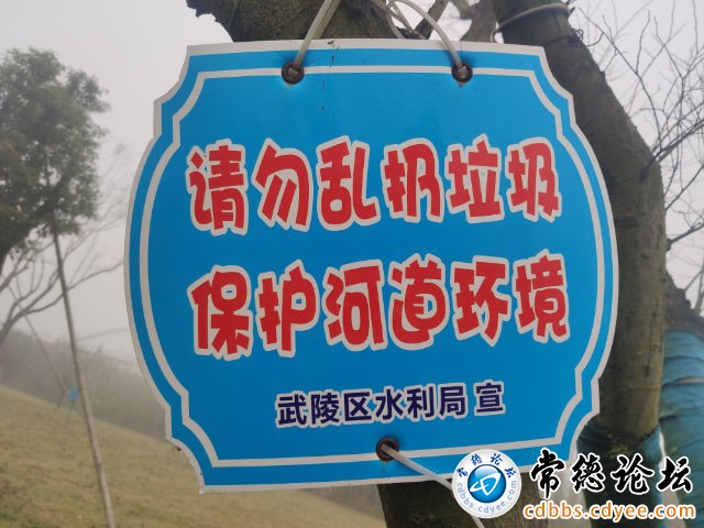 触屏版