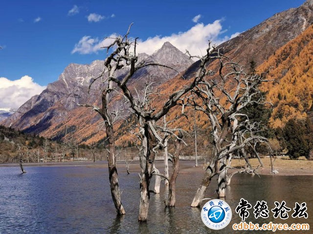 触屏版