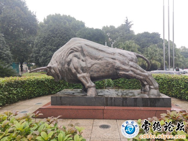 触屏版