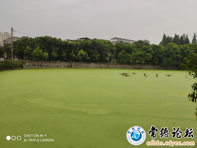触屏版