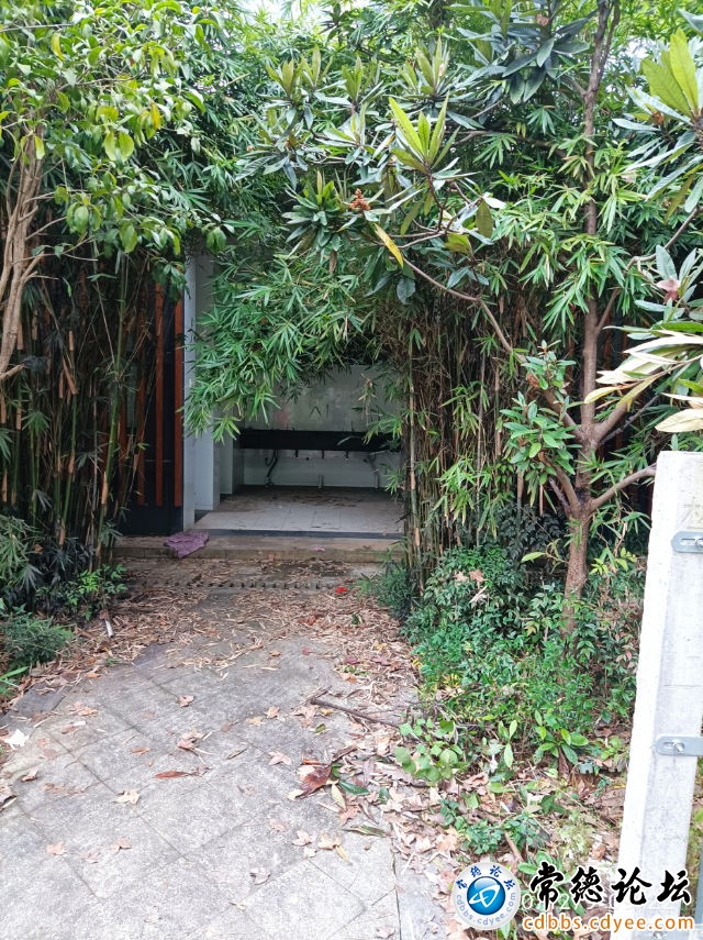 触屏版