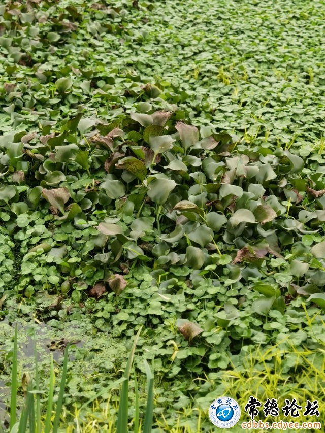 触屏版