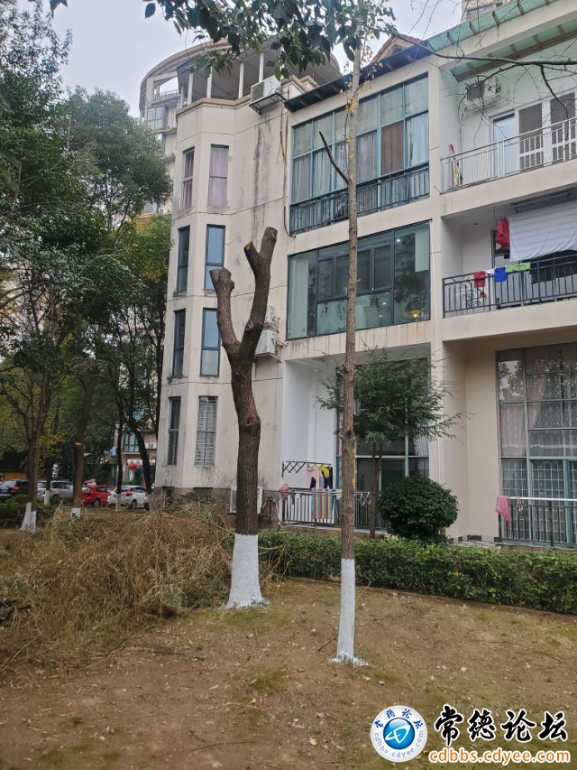 触屏版