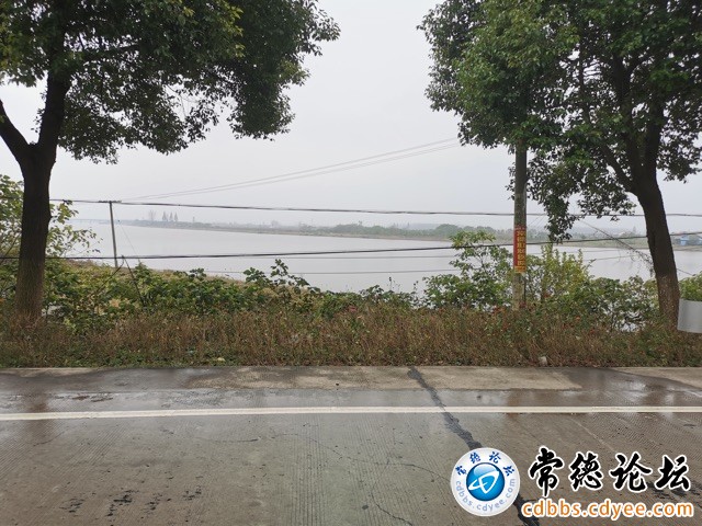 触屏版