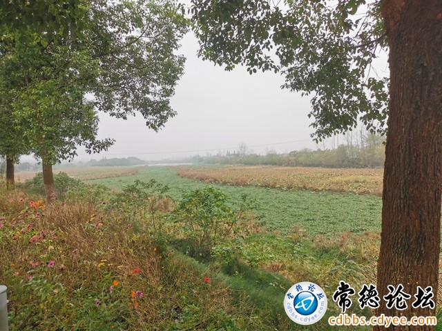 触屏版