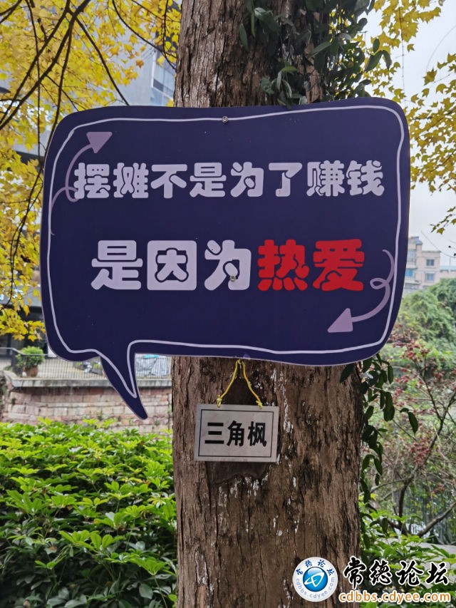 触屏版