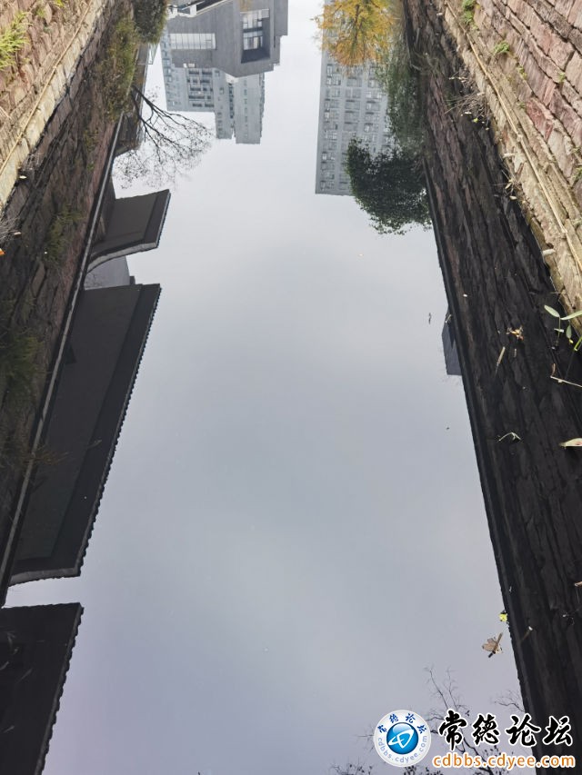 触屏版