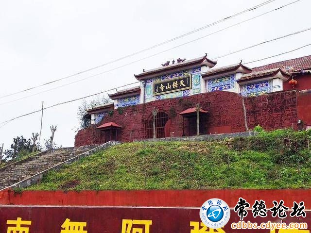 触屏版