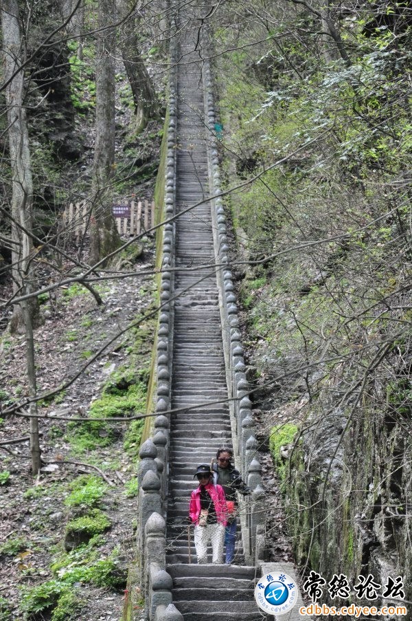 触屏版