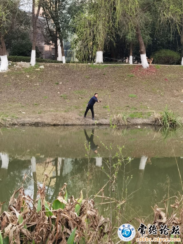 触屏版